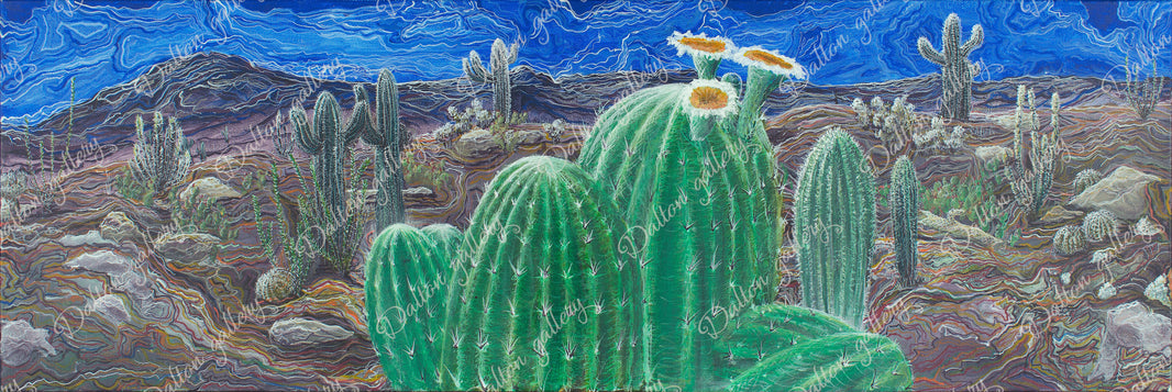 Dancing Cactus