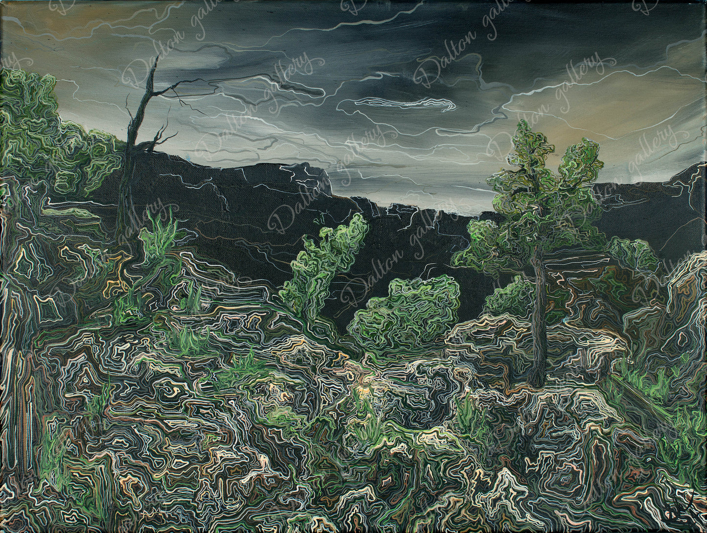 Foresta di Gila