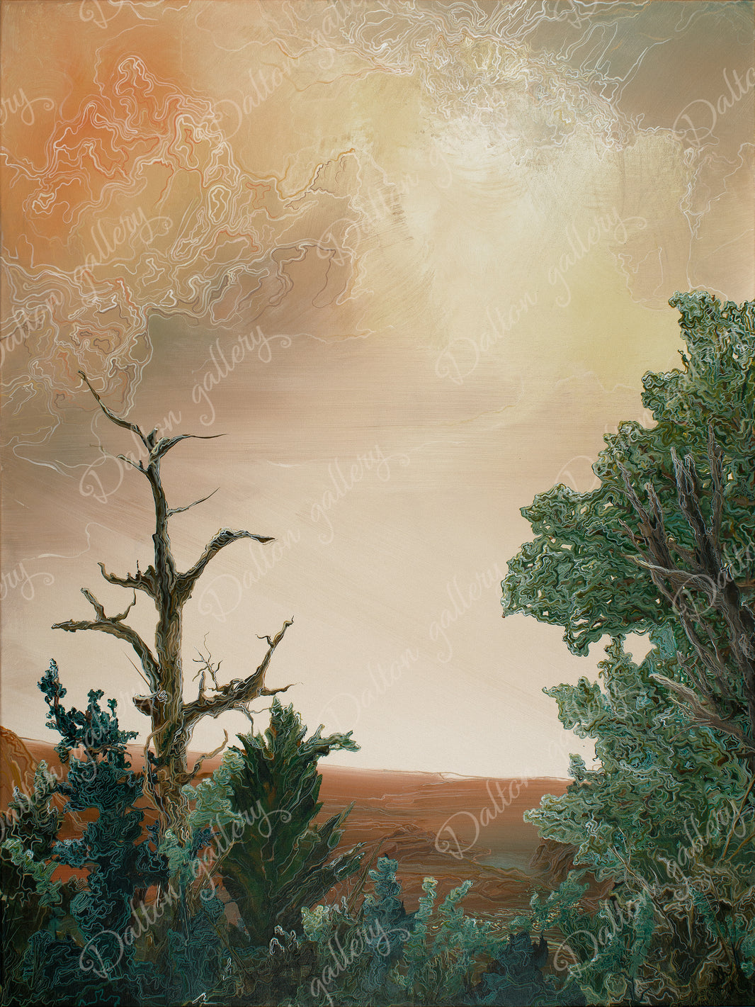 Looking Toward Arizona