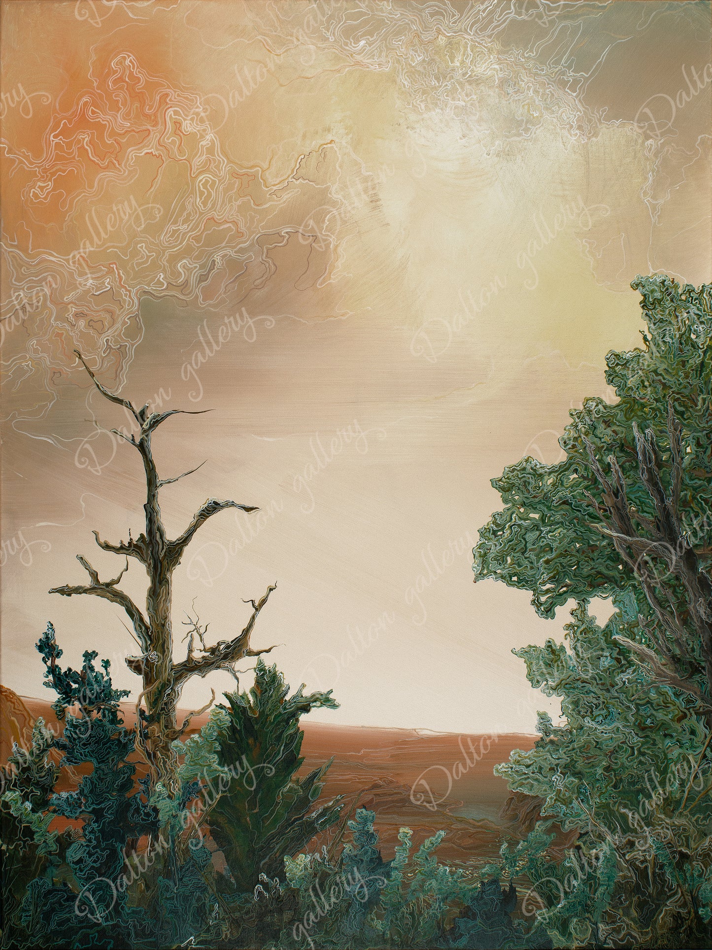 Looking Toward Arizona