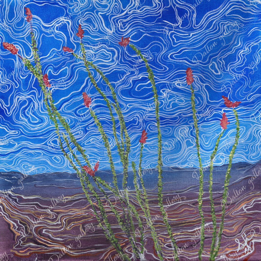 Ocotillo
