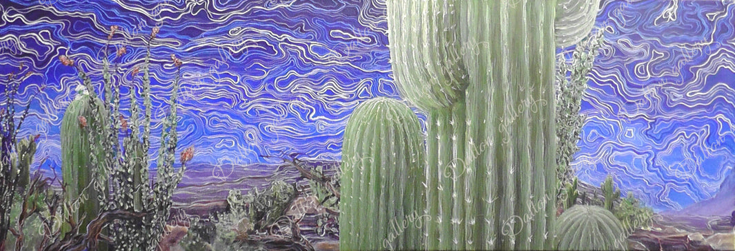 Saguaro Close-up